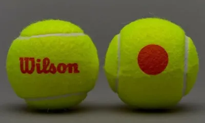 Мячи для большого тенниса купить в Москве оптом и в розницу - цены от  производителя «Олимп Сити»