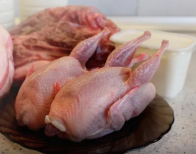 От страуса до перепелки: диетологи составили рейтинг самого полезного мяса  птицы - PrimaMedia.ru