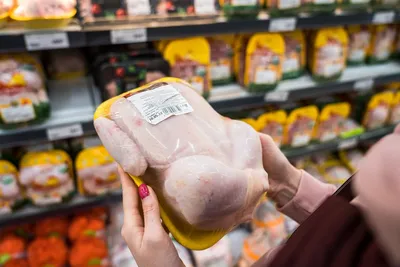 Мясо кур стало лидером роста цен среди продукции животноводства |  Ветеринария и жизнь