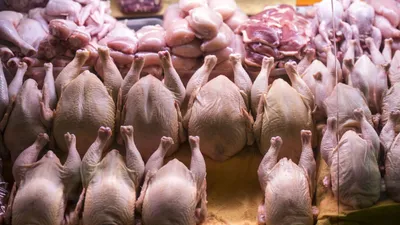 Эксперты рассказали, почему низких цен на курицу ждать не стоит:  экономический кризис в России, сколько стоит курица, почему курица такая  дорогая, цены на мясо птицы, почему всё дорожает, когда подешевеет курица -