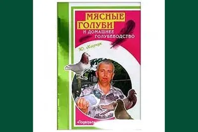 Любовь и голуби. Как в Ульяновской области разводят голубей | Новости  Ульяновска. Смотреть онлайн