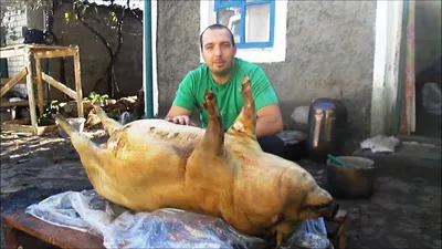 Мясо вьетнамских свиней фото
