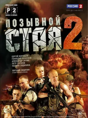 Позывной «Стая» 2 (сериал, 1 сезон, все серии), 2014 — описание, интересные  факты — Кинопоиск