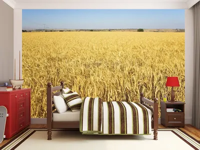Фотообои \"Огромное пшеничное поле\"