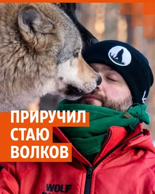 Екатеринбуржец Кирилл Потапов, «усыновивший» медведей, завел американского  бизона - 11 ноября 2023 - e1.ru