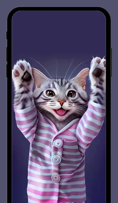 Милые котики обои HD+ – скачать приложение для Android – Каталог RuStore