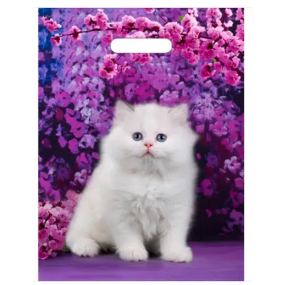Купить Пакет 40*31 вырубной Милый котик (486164) в — выгодная цена, отзывы  с фото, характеристики