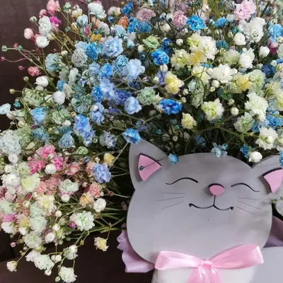 Милый котик с гипсофилой, Цветы и подарки в Екатеринбурге, купить по цене  2300 руб, Цветы в ящиках в Дар Макоши с доставкой | Flowwow