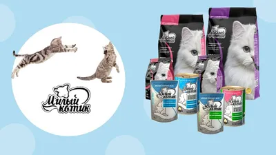 Влажный корм для взрослых кошек Милый Котик с кроликом и печенью в желе,  85г*26шт — купить в интернет-магазине OZON с быстрой доставкой