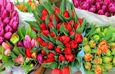 Подарок на 8 марта. Тюльпаны и мимоза в интернет-магазине Ярмарка Мастеров  по цене 465 ₽ – SL0HWRU | Подарки на 8 марта, Москва - доставка по России