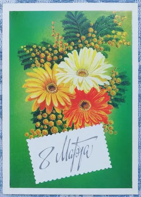Купить Букет Мимозы, в магазине Букет-СПб - Доставка цветов в  Санкт-Петербурге недорого | Заказать букет с доставкой в Букет-Питер