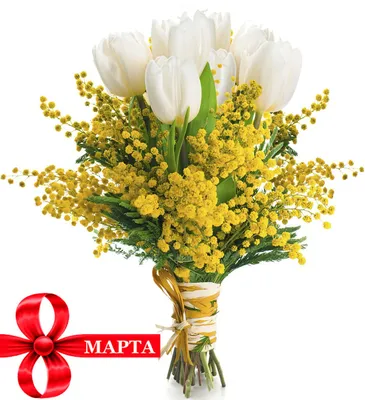 Купить Букет Мимозы с Тюльпанами Белыми, в магазине Букет-СПб - Доставка  цветов в Санкт-Петербурге недорого | Заказать букет с доставкой в  Букет-Питер