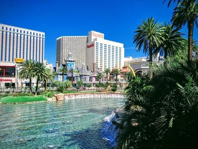 Отель Мираж в Лас-Вегасе (США) с фото и отзывами