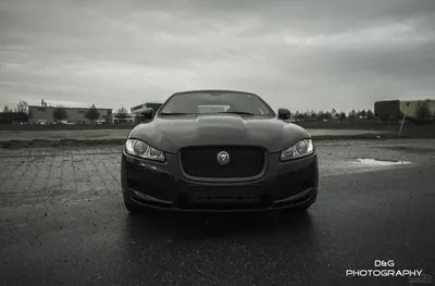 Jaguar XF Black Edition 2014 / личный блог Dimas55555 / smotra.ru