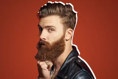 Модная стрижка бороды: идеи, которые оценят мужчины- Beauty HUB