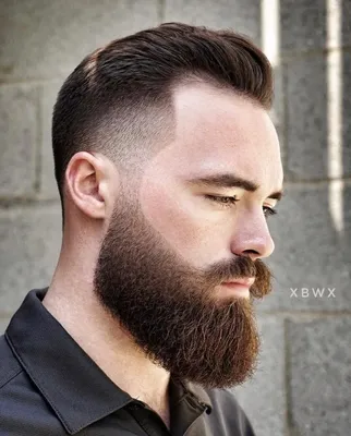 Стильные стрижки бороды на фото | Модные стрижки бороды Фото #962 скачать