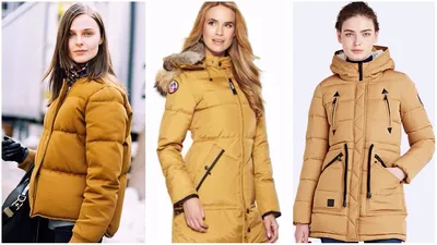 Модные женские куртки на осень и зиму 2023: подборка трендов