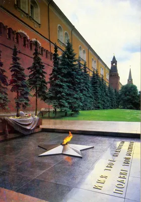 У кремлевской стены - 51 фото