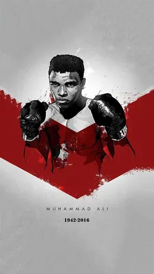 Мухаммед Али, иллюстрация Али, боксер, бокс, величайшие, американский профессиональный боксер, HD обои для телефона | Пикпикселей