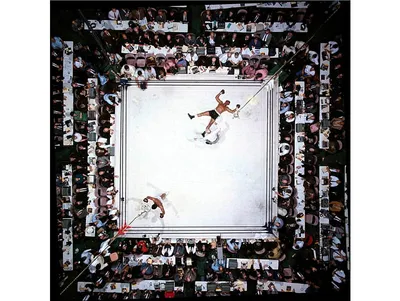 Мухаммед Али, 1966 год, Али, Али, Али, чемпион, бокс, величайший всех времен, HD обои | Пикпикселей