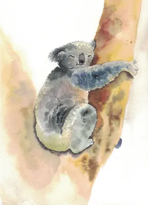 Что вы гуглили в июле: мокрая коала, игра про котика и калорийность арбуза