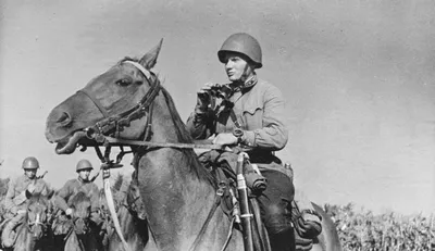 Замечательное возвращение лошади Пржевальского (Smithsonian, США) |  07.10.2022, ИноСМИ