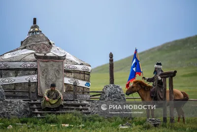 Лошадей Пржевальского становится больше в степях Монголии — Новости мира  сегодня NTDНовости мира сегодня NTD