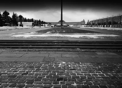 Ржевский мемориал вновь возвращает миру память о советском солдате - РИА  Новости, 01.07.2020