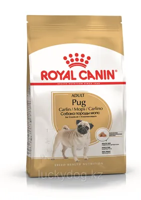 Royal Canin Pug (500г) сухой корм для собак породы мопс Роял Канин:  продажа, цена в Алматы. Корма и лакомства для домашних животных и птиц от  \