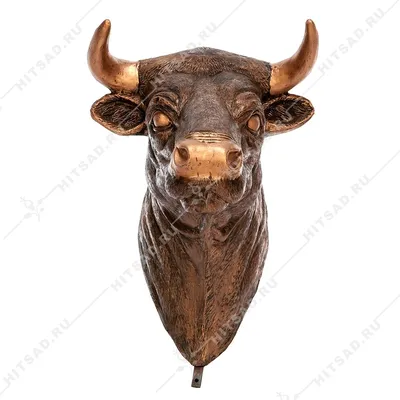 Голова Быка — стоковые фотографии и другие картинки Бык - животное - Бык -  животное, Недовольный, Голова животного - iStock