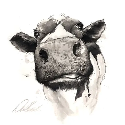 Морда коровы рисунок - 64 фото