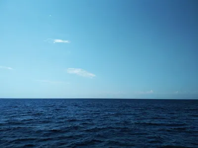 Открытое море — Википедия