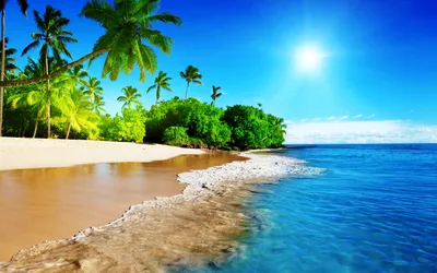Картинка Пляж море солнце » Пляж » Природа » Картинки 24 - скачать картинки  бесплатно