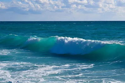 Шум моря - фото и картинки: 57 штук