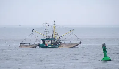 Рыбаки на побережье Северного моря опасаются за свое существование
