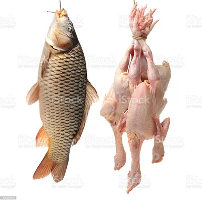Рыба Дори черная - «\"Морская курица\" с плотным белым мясом (ФОТО поэтапного  разделывания рыбки)» | отзывы