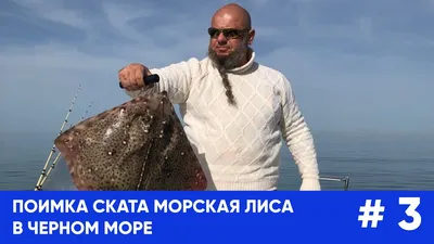 Морская Лиса На Морском Фоне — стоковые фотографии и другие картинки  Foxface - Foxface, Rabbitfish, Аквариум - iStock