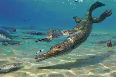Палеонтологи нашли ископаемого «морского крокодила», которому 185 миллионов  лет