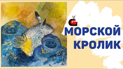 Морской кролик рыба фото фотографии