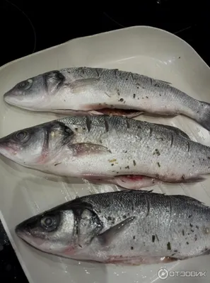 SEA WOLF for DINNER /Delicious Sea fish for proper nutrition and for those  who want to lose weight - YouTube