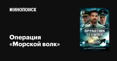 Иллюстрация 10 из 55 для Морской волк - Джек Лондон | Лабиринт - книги.  Источник: Литвина Дарья Александровна