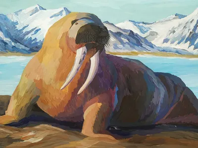 Рисунок гуашью морж (47 фото) скачать