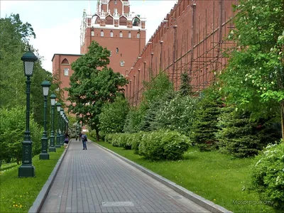 Александровский сад в Москве