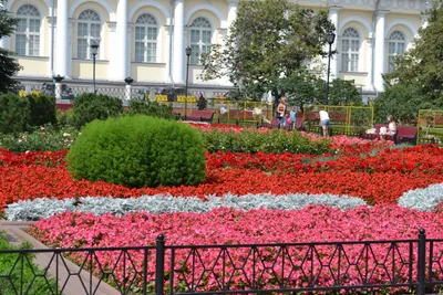 Москва. Александровский сад / Moscow. Alexander garden | Путешествия, Сад,  Город