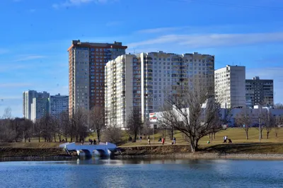 Купить Квартиру с Дизайнерским Ремонтом в районе Чертаново Южное (Москва) -  16 объявлений о продаже квартир с дизайнерским ремонтом недорого:  планировки, цены и фото – Домклик