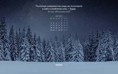 Вдохновляющие обои с календарями и цитатами на декабрь 2023 года - Блог  издательства «Манн, Иванов и Фербер»