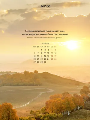 Вдохновляющие обои с календарями и цитатами на ноябрь 2023 года - Блог  издательства «Манн, Иванов и Фербер»