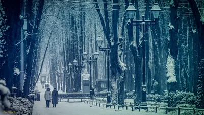 Обои парк, снег, зима, Москва на рабочий стол