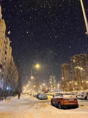 Снег идет! | Улица, Зимние картинки, Зеленые фоны