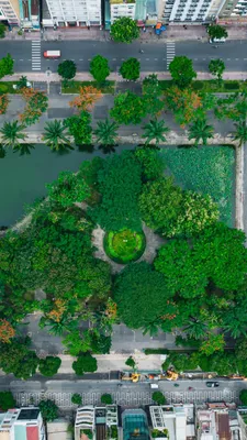 город, здания, улица, парк, деревья, вид сверху ,обои в 2023 г | Город,  Вид, Здания